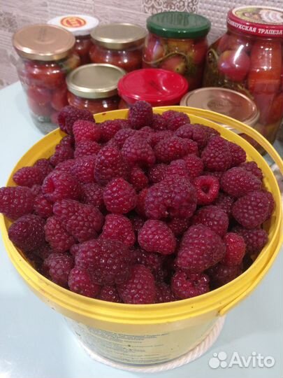 Малина ягоды свежая