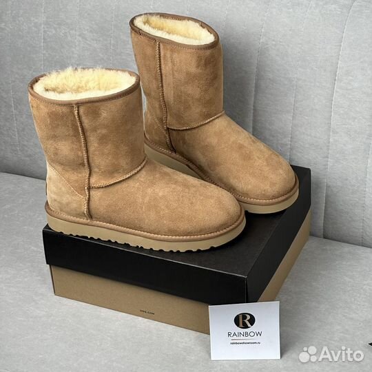 Мужские Ugg Classic Short + 5 расцветок