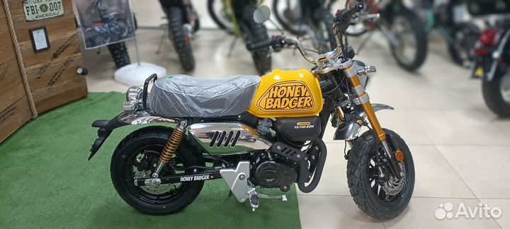 Питбайк Motoland Monkey 150