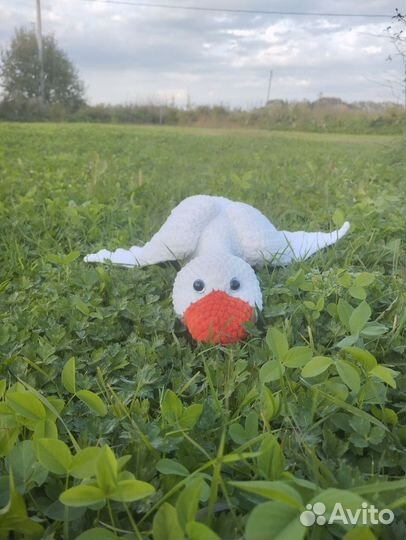 Гусь обнимусь