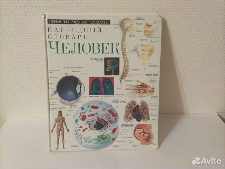 Словарь наглядный Человек Дорлинг Киндерсли