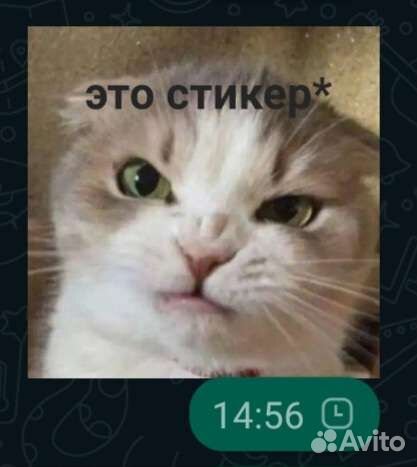 Стикеры для whatsapp на заказ