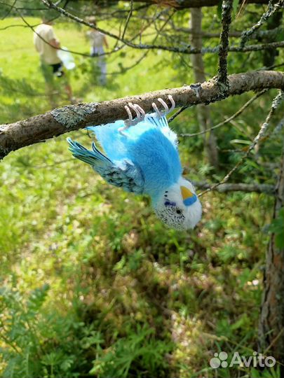 Интерьерная игрушка Попугай