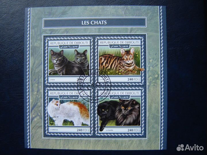 Фауна. Кошки