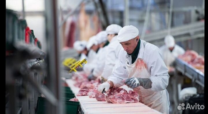Работа разнорабочим на мясокомбинате(Вахта)