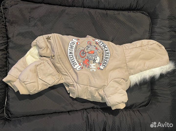 Одежда для собак