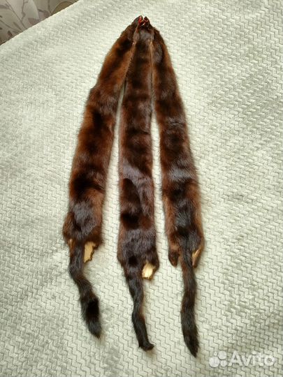 Шкурка норки