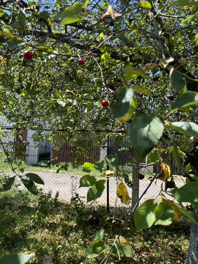 Участок 6 сот. (СНТ, ДНП)