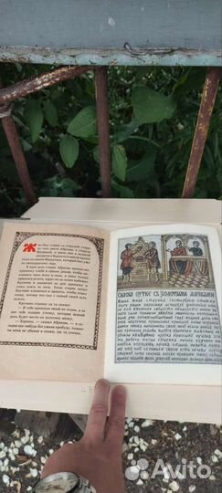 Свитшот Adidas originals xbyo