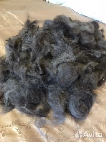 Шерсть животного