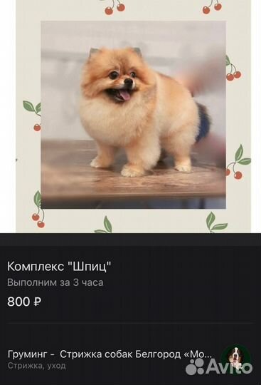 Груминг / стрижка собак