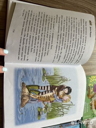 Большая книга Лес Дружбы Дейзи Медоус