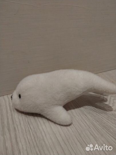 Тюлень из москвариума