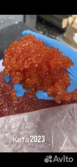 Красная икра 2023