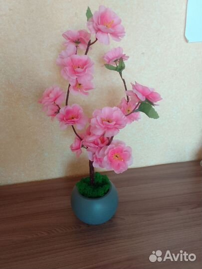 Сакура в гипсовом кашпо