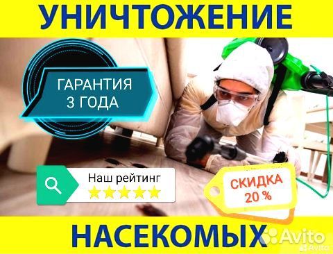 Уничтожение клопов тараканов мышей муравьёв блох