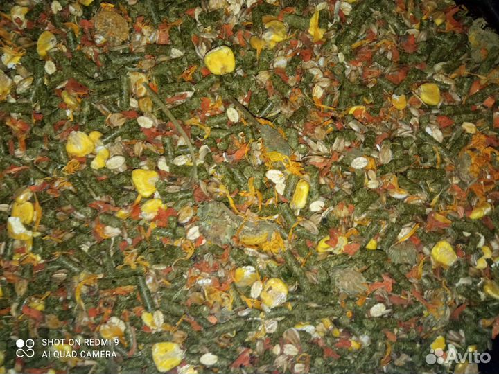 Корм для морских свинок