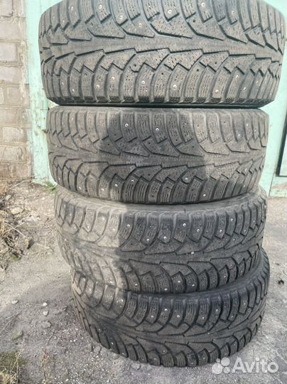 Nordman 5 205/55 R15