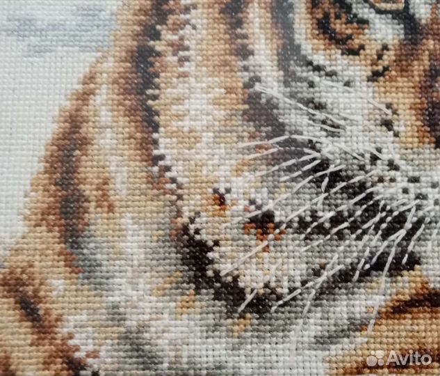 Бенгальские тигры