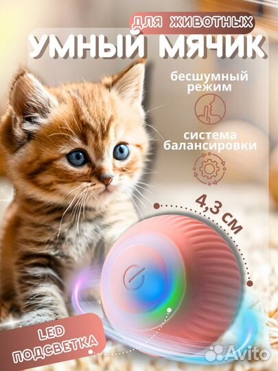 Игрушки для животных