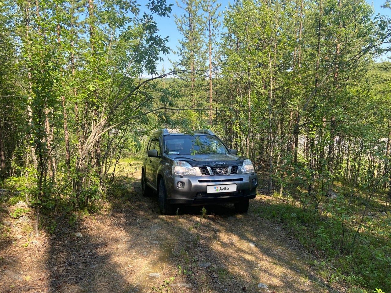 Nissan X-Trail: фото владельца