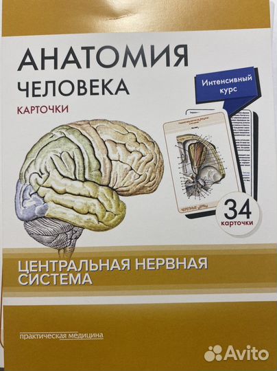 Карточки по анатомии Сапин