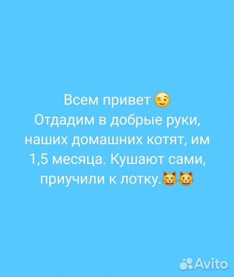 Отдам в добрые руки