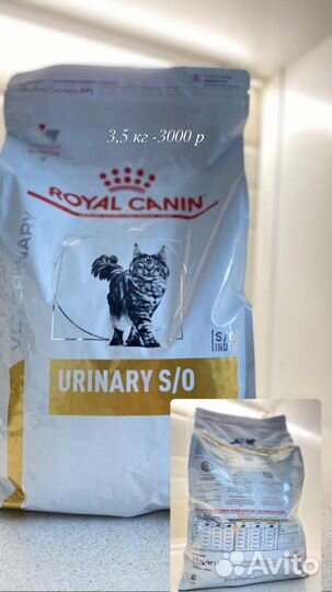 Корм для кошек royal canin