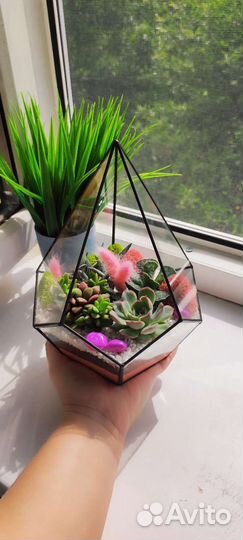 Флорариум подарок