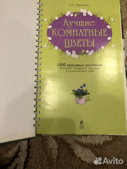 Книги подарочного формата