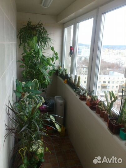 Окна пластиковые, балконы