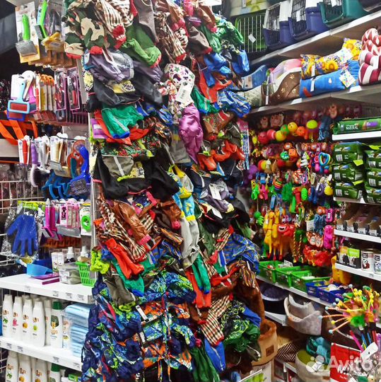 Одежда для собак