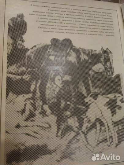 Коллекционные спички СССР