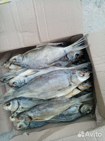 Астраханская вяленная рыба