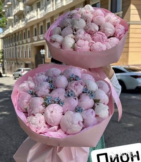 Пионы цветы букеты