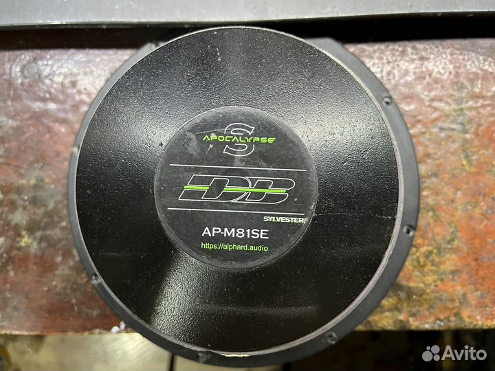 Сильвестр М81