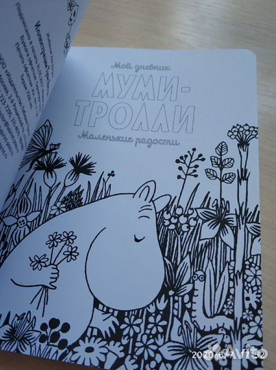 Новая книга - дневник 