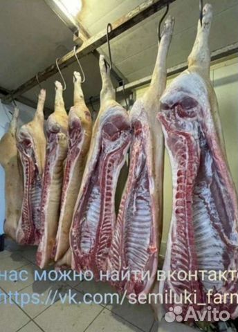 Мясо свинины в полутушах