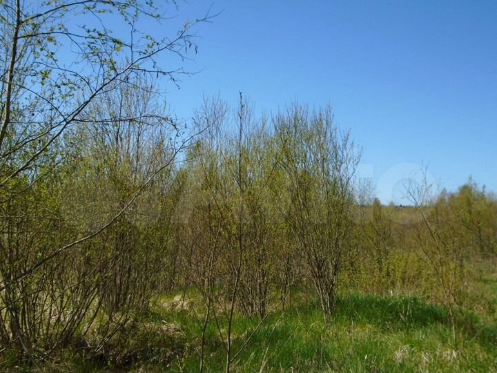Участок 2,6 га (СНТ, ДНП)