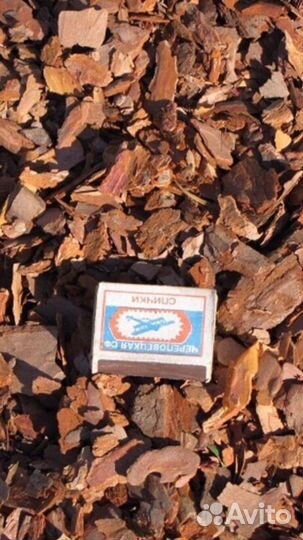 Сосновая кора