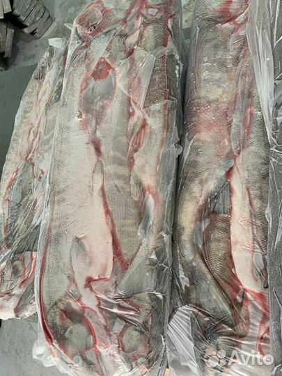 Рыба кета свежемороженая