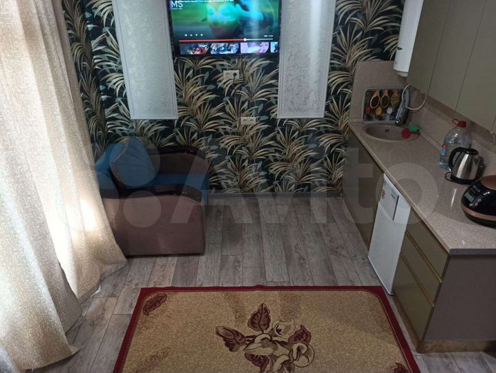 Квартира-студия, 24 м², 4/4 эт.