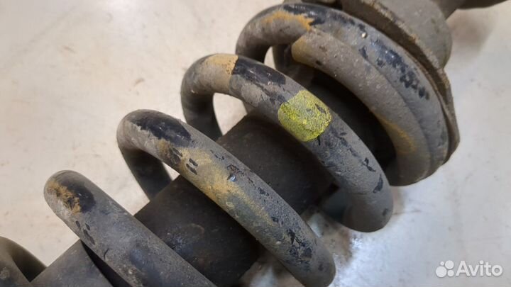 Амортизатор подвески Nissan Navara, 2009