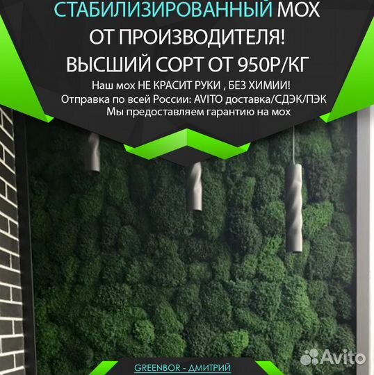 Натуральный стабилизированный мох опт