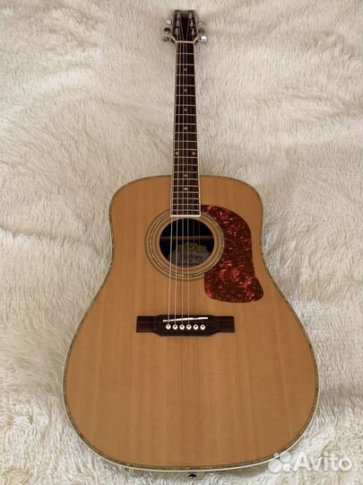 Гитара Washburn D-21/SRN