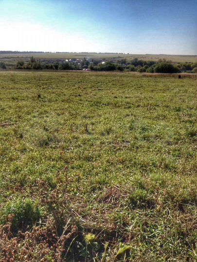 Участок 20 сот. (ИЖС)