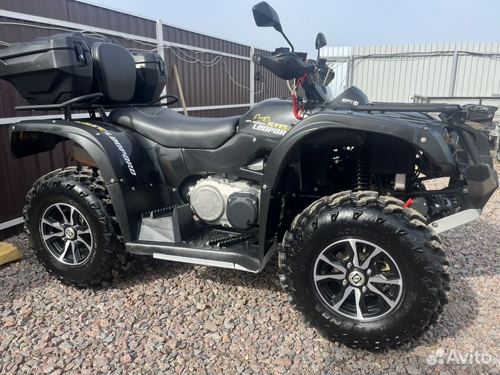 Стелс леопард 650