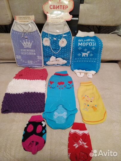 Одежда для собак