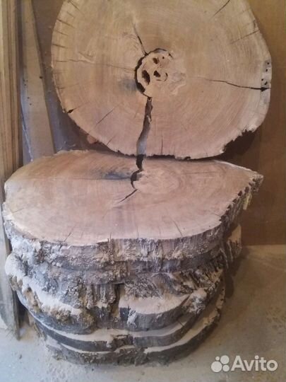 Спил дуб поперечный