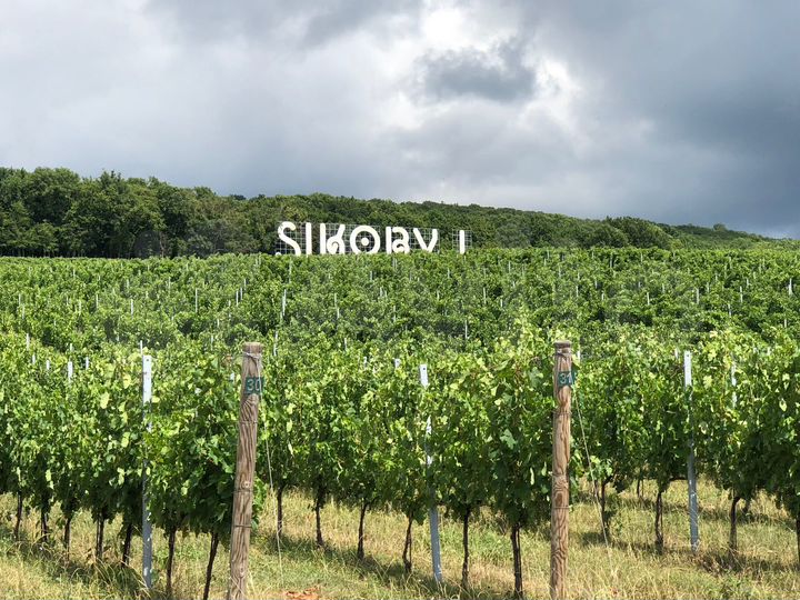 Дом 96,8 м² на участке 1,5 сот.